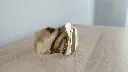 1756144920464.webp