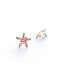 pendientes estrella dorada 2.webp