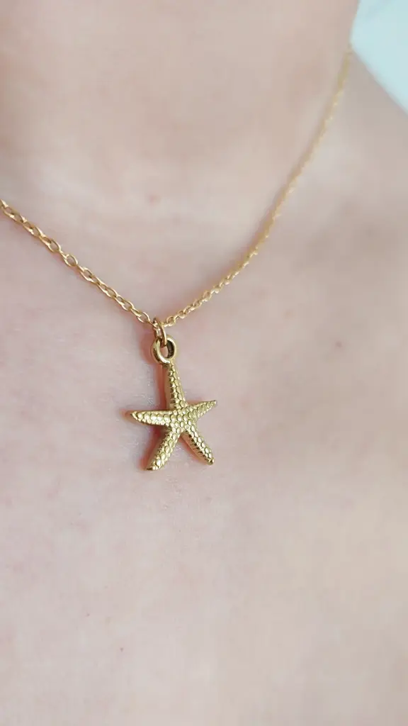 [3136] Collar Estrella