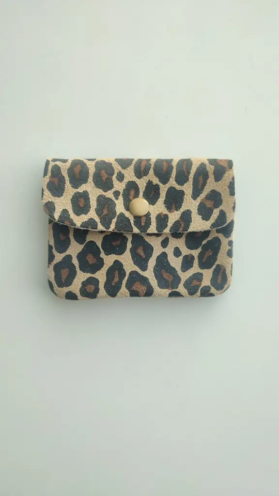 [HD002] Cartera Ante Leo