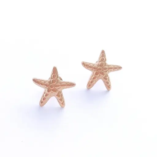[1110] Pendientes Estrella acero dorado